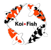 Koi.Fish Logo