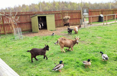 Whisby Animal Centre Lincoln