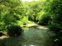 Worcester Woods Country Park