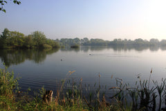 Whisby Nature Park Lincoln 