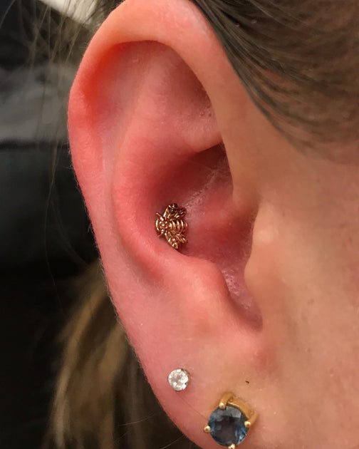 Voorvoegsel ouder Verzadigen Where to Find Conch Ear Piercing Jewelry – Pierced