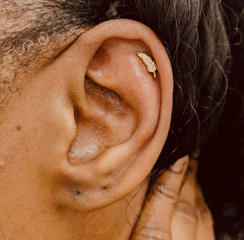 Ear Cartilage Jewelry