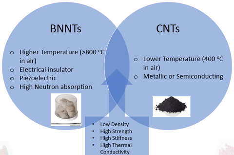 Borono Nitride Nanotubes Compared with Carbon Nanotubes