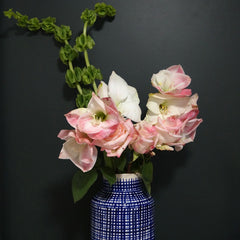 Fresh pink and white flowers in blue and white vase