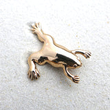 xenopus frog lapel pin bronze