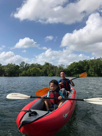 heading out of mangrove