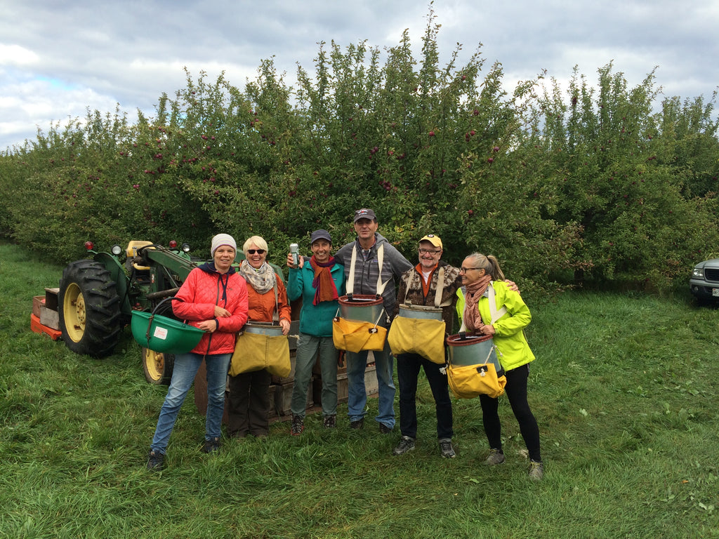 Lost Orchard Fruit Harvest Local Organic Cider 2016 Vintage