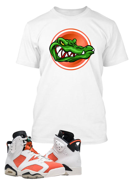 Graphic T Shirt to Match the Retro Air Jordan 7 Hare Shoe