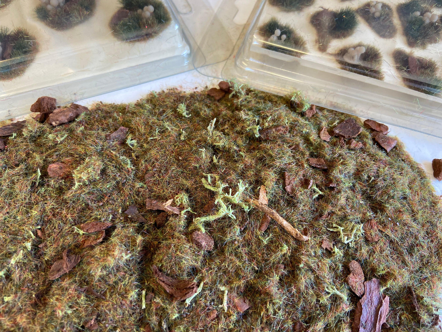 Autumn Fields - Detailed Scatter