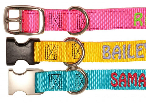 Dog safety with custom dog collar