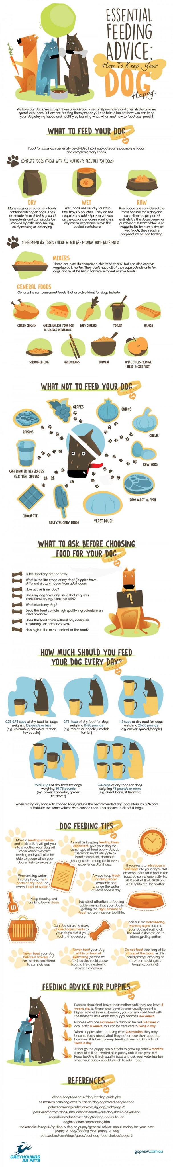 Essential Feeding Advice: How To Keep Your Dog Happy