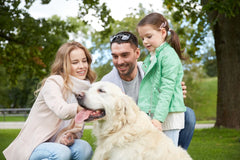 Pet safety for your family pet