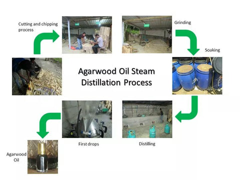 Our Distillation Process