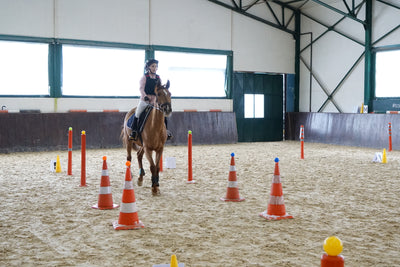 Jumping Tabiat Pony