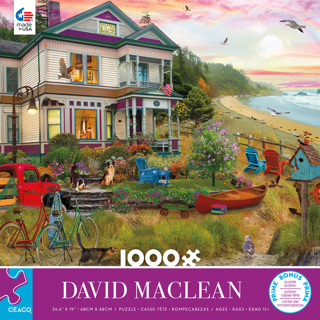 1000 Piece Jigsaw Puzzle Seawall Walk Ceaco David Maclean