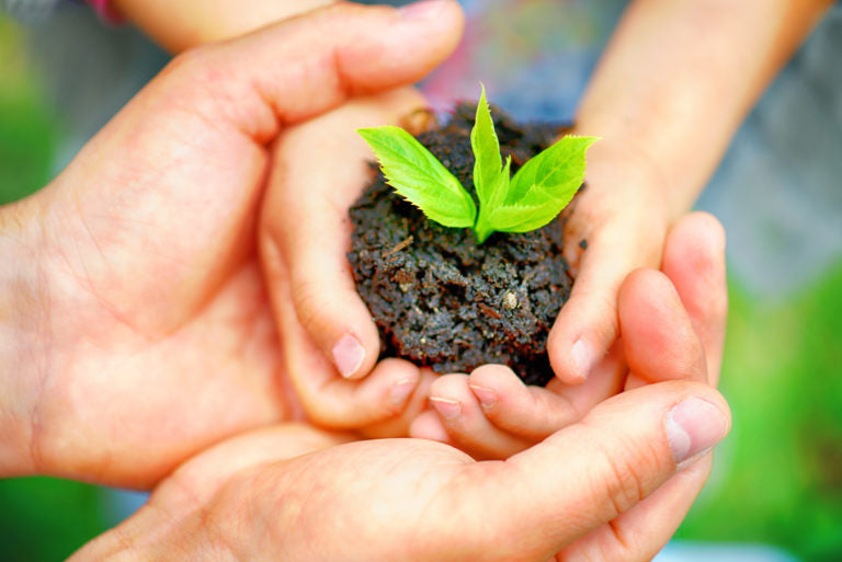 Planting a new seed and caring for it | HealthMasters