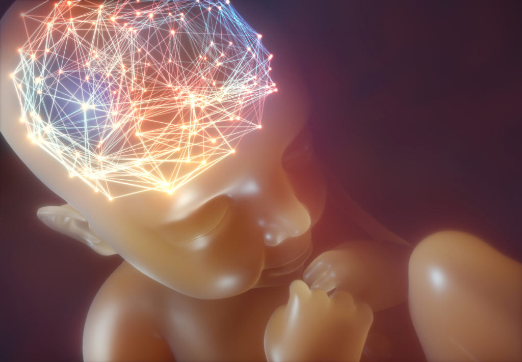 Baby's Brain | HealthMasters