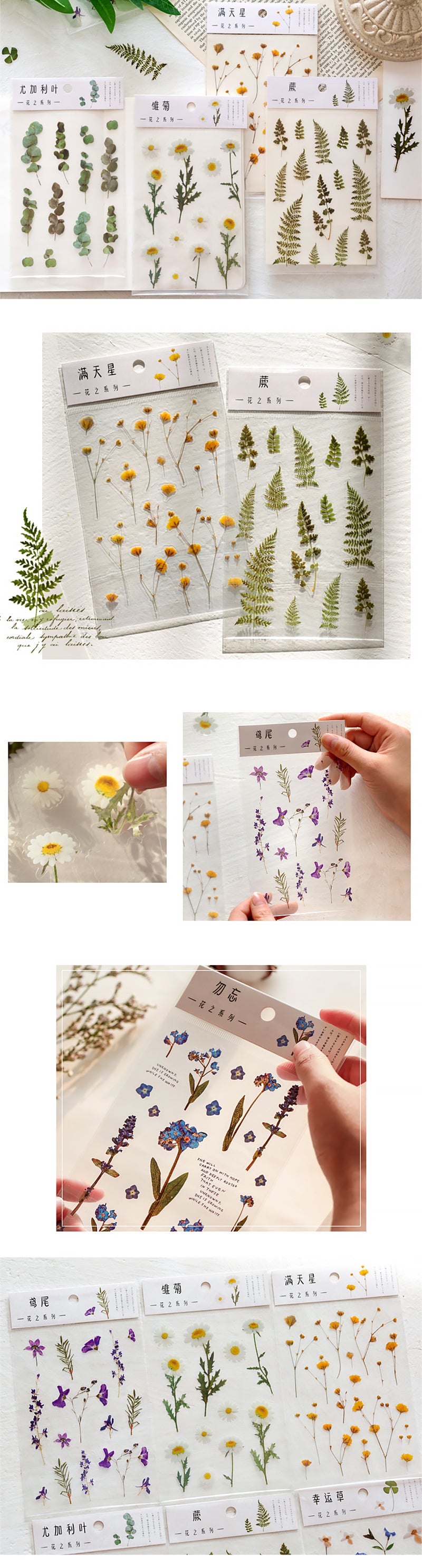 Translucent Botanical Plant Flower Stickers - Detail