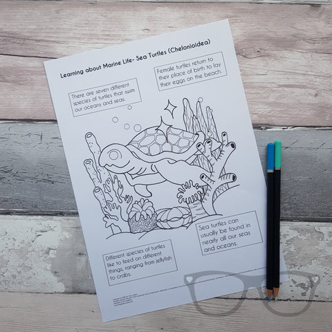 Turtle colouring Page by Mini Geek Boutique