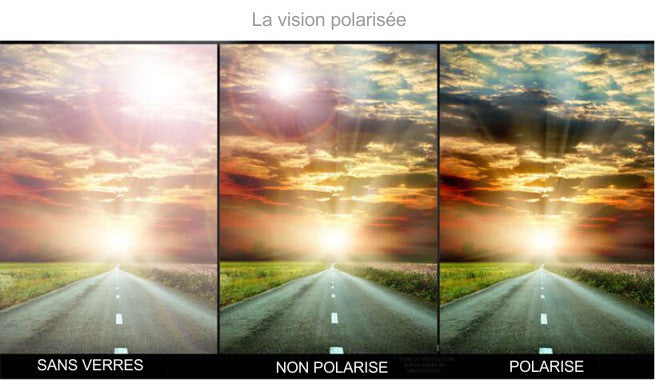 Vision Polarisée