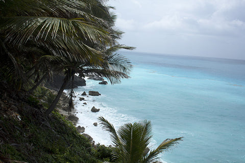 Blick auf das hellblaue Meer, gesäumt von Palmen