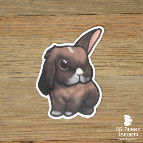 Black tort w/ white half lop bunny sticker