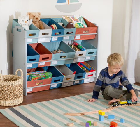 toy sorter and toy organizer
