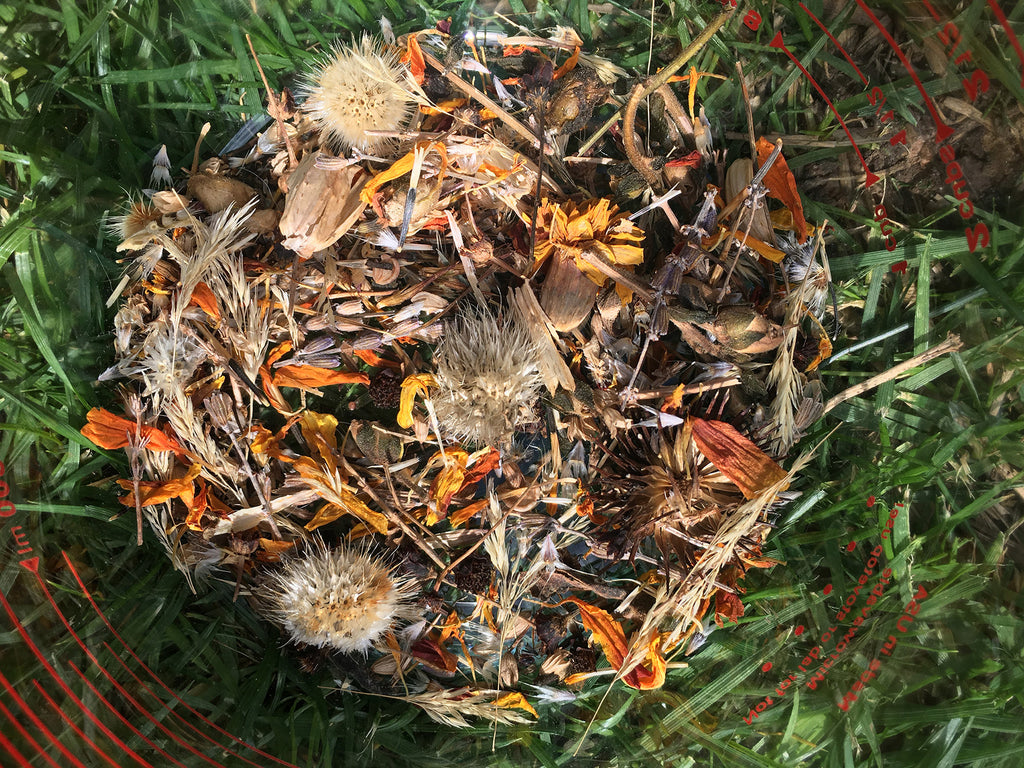 Meadow Seed Mix