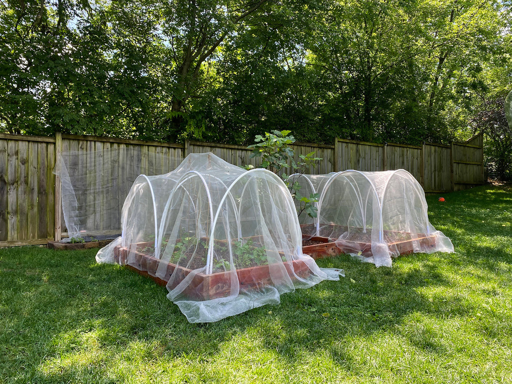 Raised Garden Beds with Netting