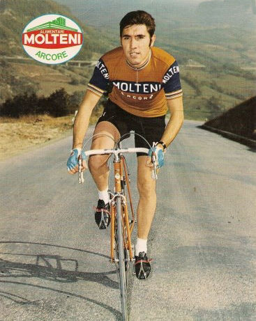 eddy merckx cycling jersey