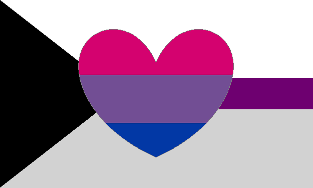 Biromantic Demisexual Flag Pride Nation 8939