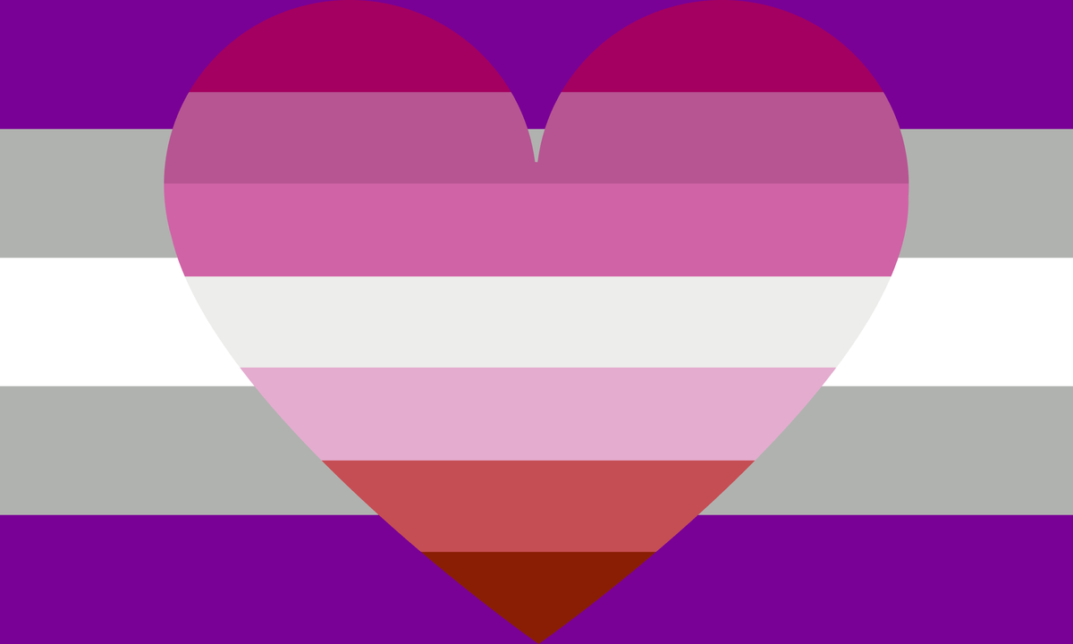 Gray Asexual Lesbian Combo Pride Flag Pride Nation 2963