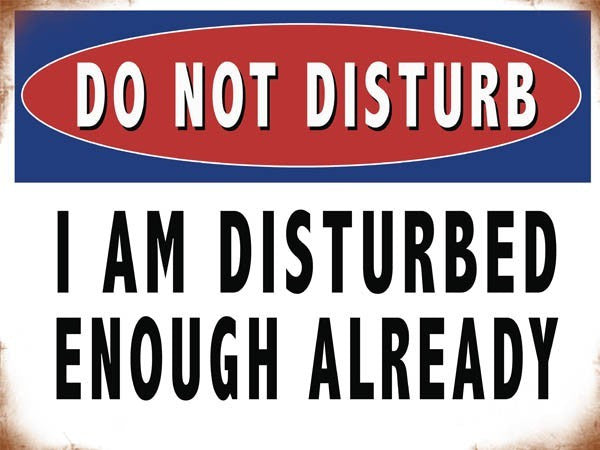 do-not-disturb-i-am-disturbed-enough-already-road-knights-online