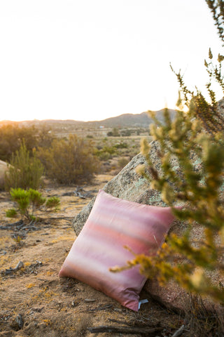 Gravity in Rose Quartz Pillow