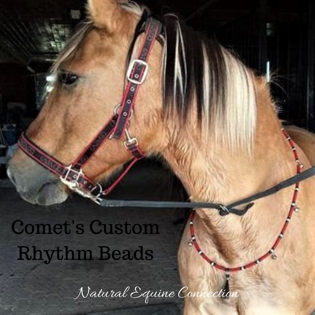 Ponies and Donkeys Rhythm Beads for Horses 