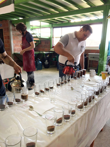 Cupping coffees in Colombia