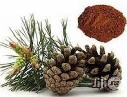 pine bark extract