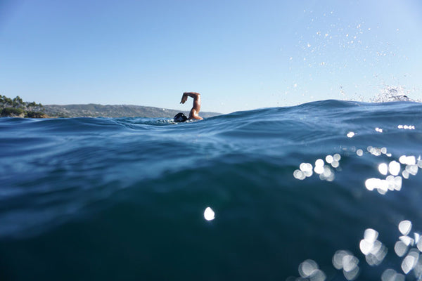 Laguna beach open water lexie kelly swimmer laguna fin