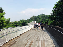 Henderson waves walk , Bonding 