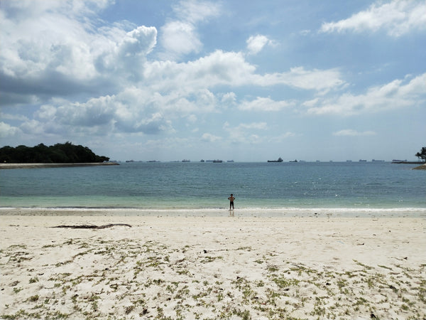 Lazarus Island Beach