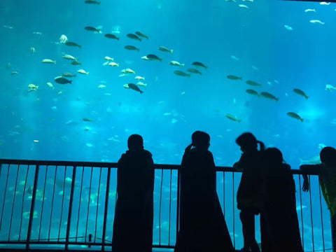 Sea Aquarium 