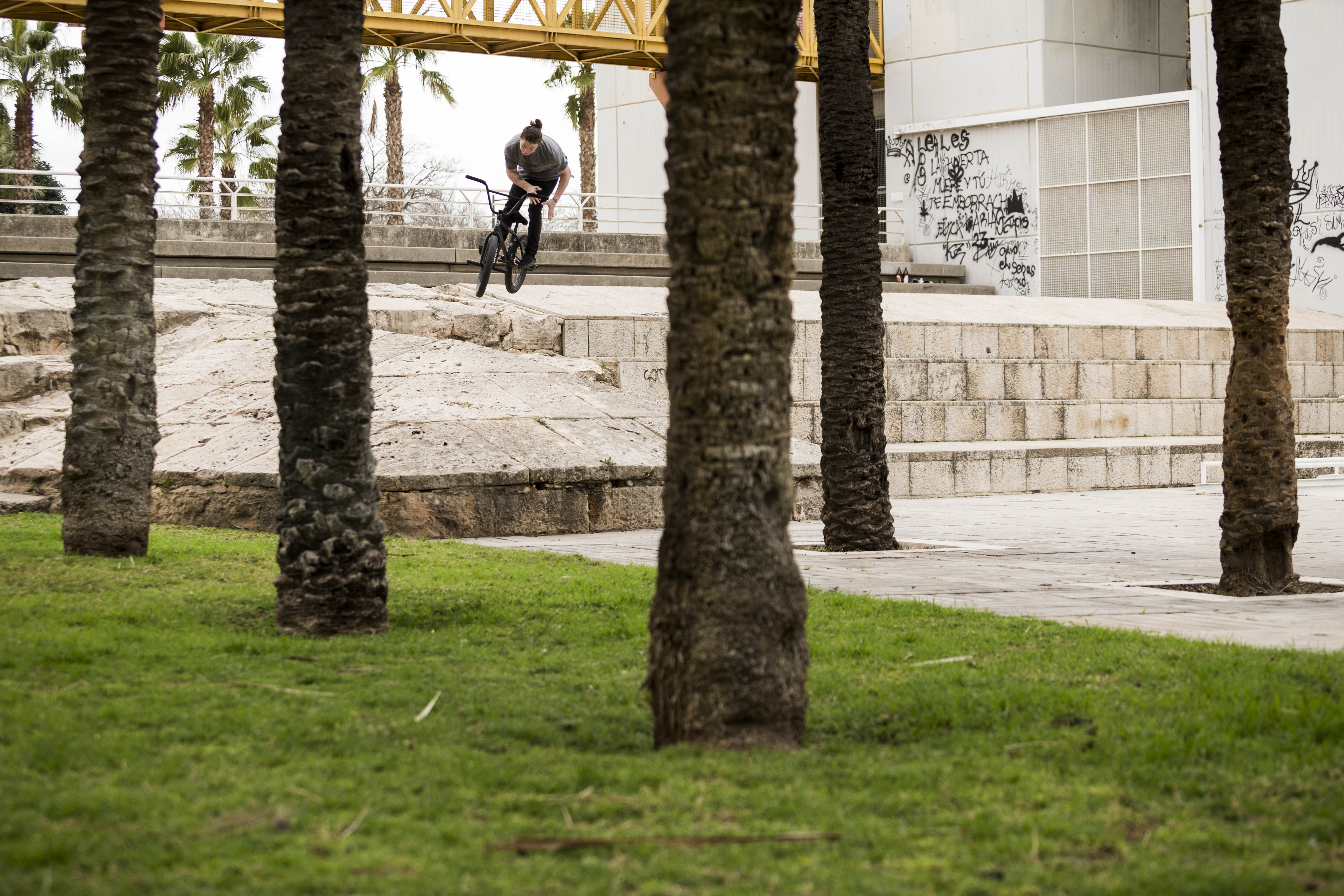 FEDERAL FTS VALENCIA STEVIE CHURCHILL TRUCK BMX