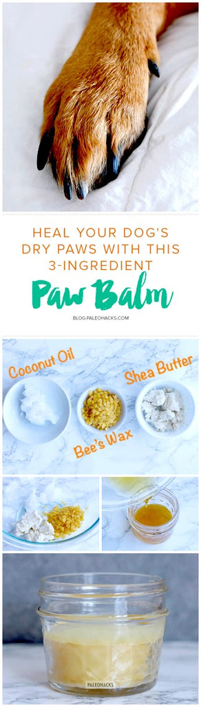 3 Ingredient DIY Dog Paw Balm Recipe 