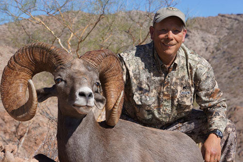 Desert Sheep Hunting on Tiburon Island