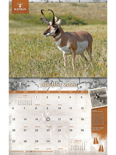 2023 King's Wildlife Calendar | Corbotras lochi