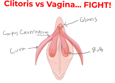 Are orgasms felt in the vagina or clitoris?