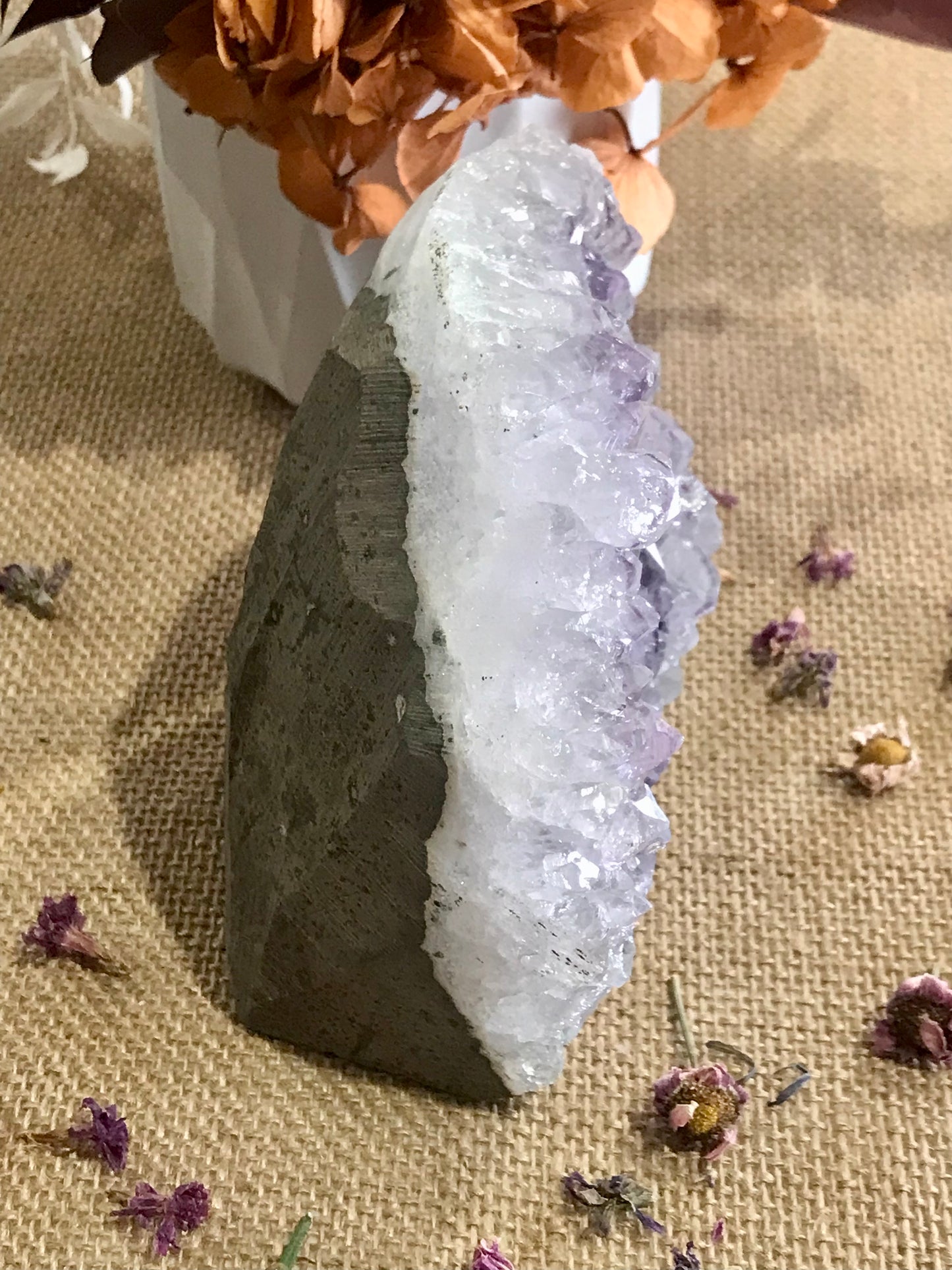 Amethyst Standing Cluster ~ 1.2kgs