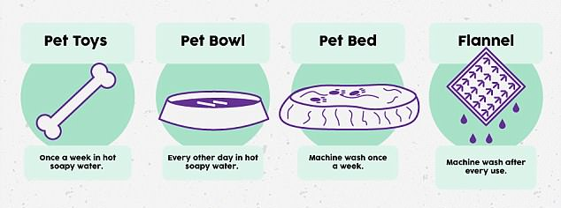 how often should you wash your dogs bedding