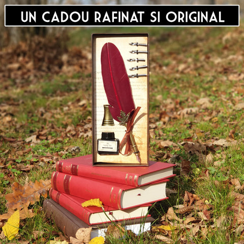 pana de scris vintage - cadouri speciale pentru iubit