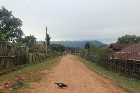 ban naphia remote village in Laos